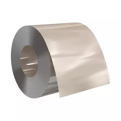 Полиэфирный грунт DoorHan DH COIL PRIMER PL-1401