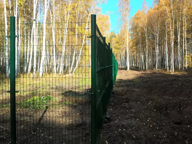 Металлический забор 3d для коттеджного поселка, фото 4
