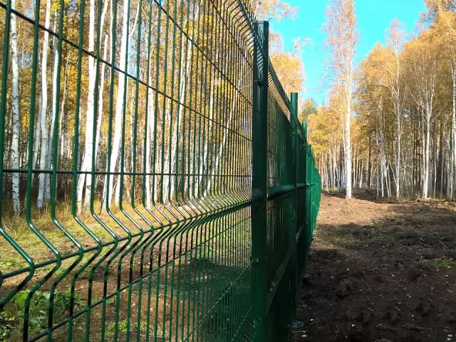 Металлический забор 3d для коттеджного поселка, фото 3