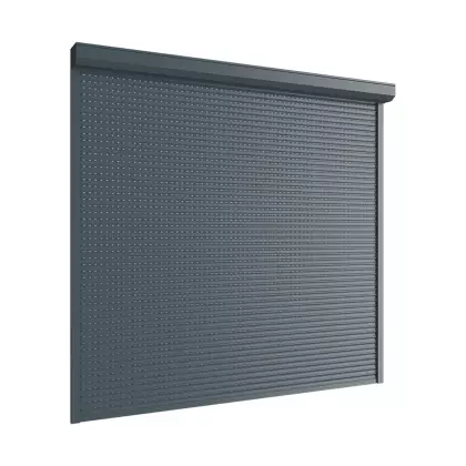 Перфорированные оконные рольставни DoorHan SH-RH4PN